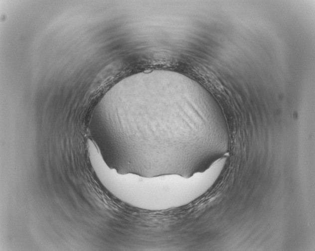 X0000088620916200706221451