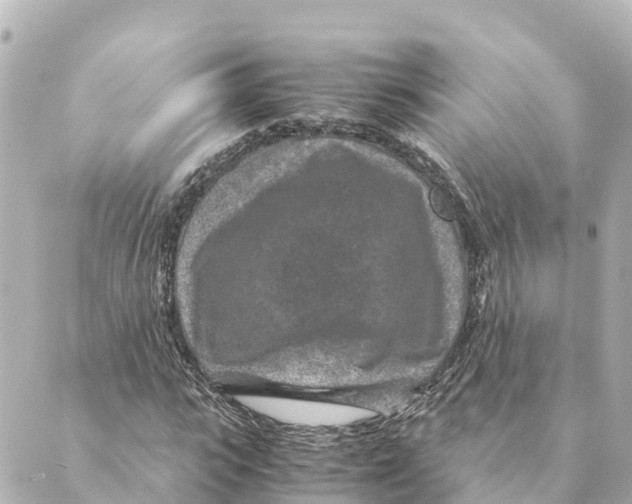 X0000088620919200706221451