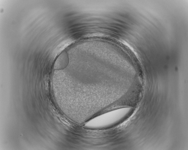 X0000088620921200706221452