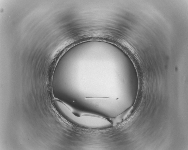 X0000088620922200706221452