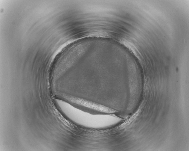 X0000088620923200706221452