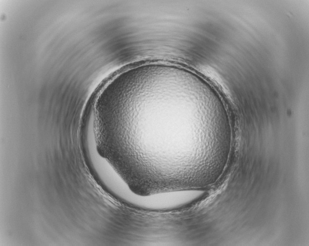 X0000088620924200706221452