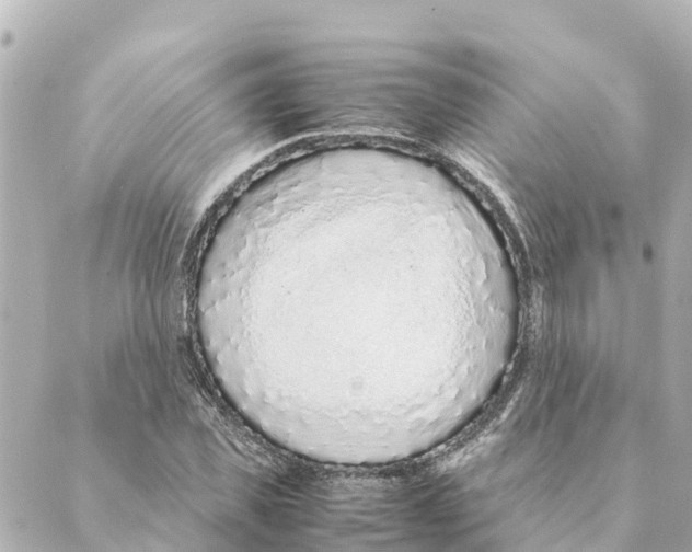 X0000088620925200706221452