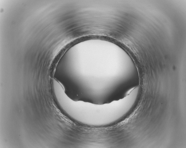 X0000088620926200706221452