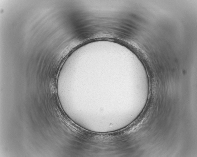 X0000088620929200706221452