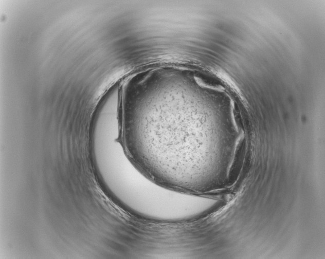 X0000088620930200706221452