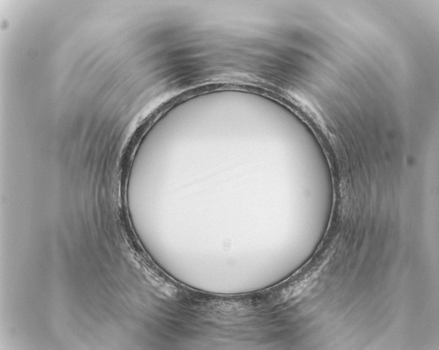 X0000088620931200706221452