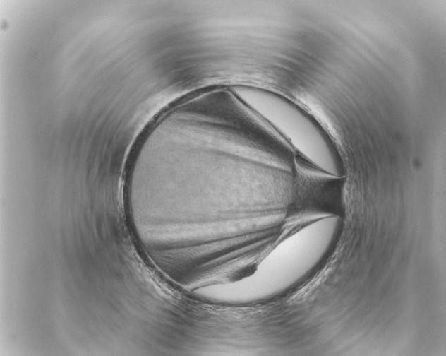 X0000088620932200706221452