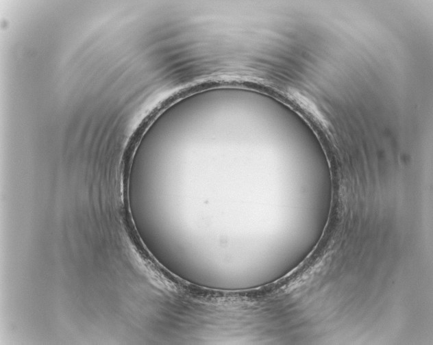 X0000088620934200706221452