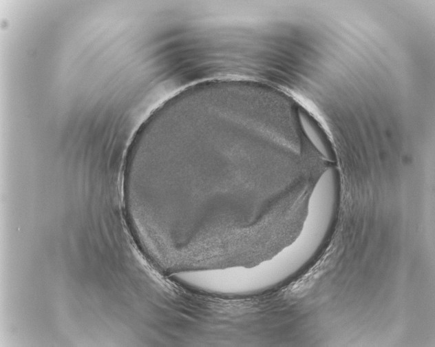 X0000088620935200706221452