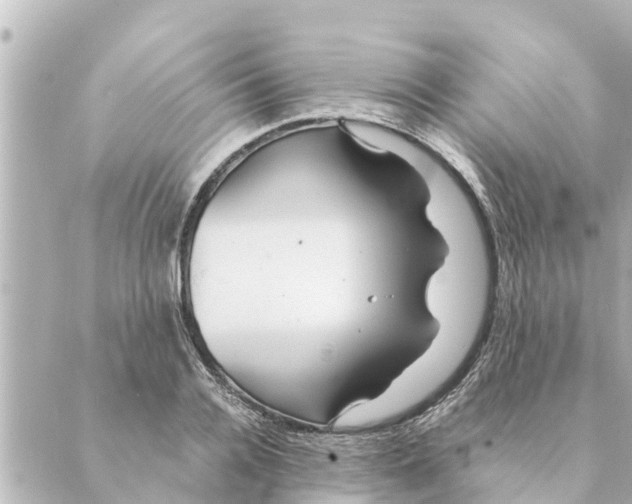 X0000088620936200706221452