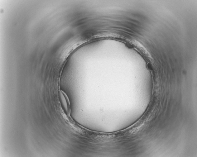 X0000088620937200706221452