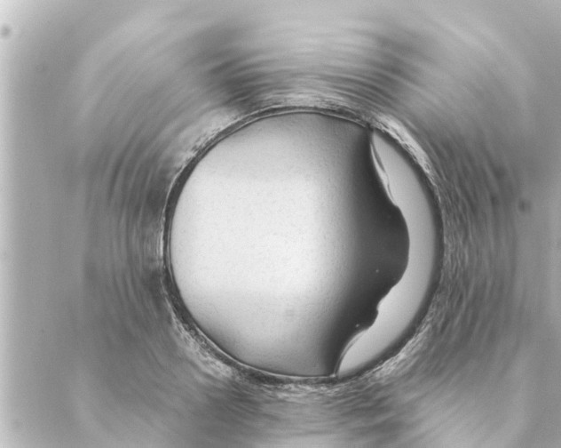 X0000088620938200706221452