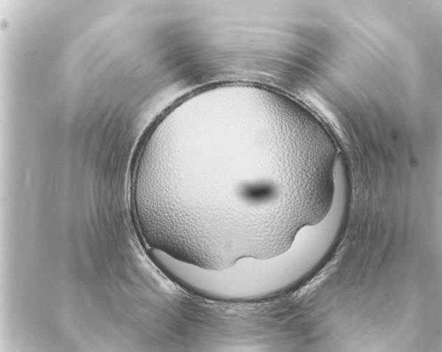 X0000088620940200706221452