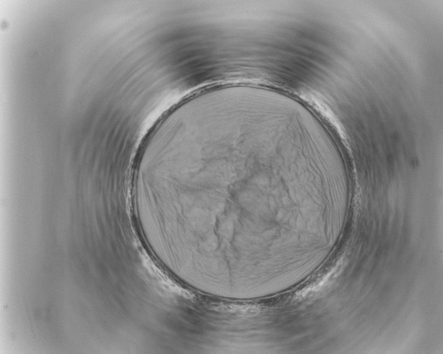 X0000088620941200706221452