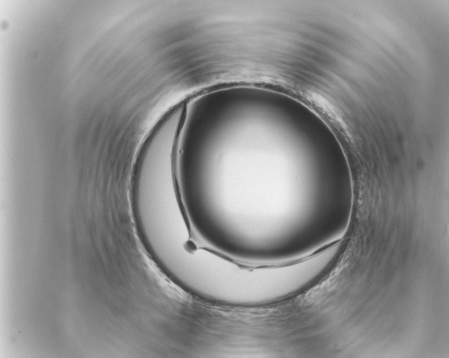 X0000088620942200706221452