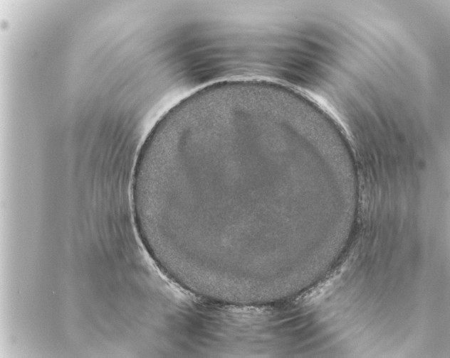 X0000088620943200706221452