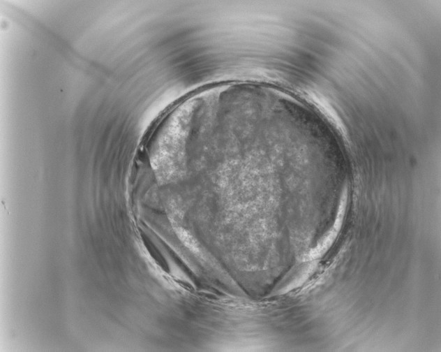 X0000088620944200706221452