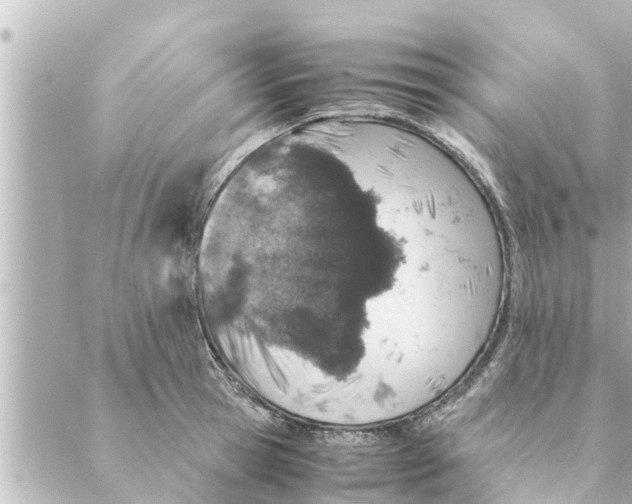 X0000088620945200706221452