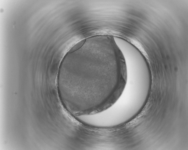 X0000088620946200706221452