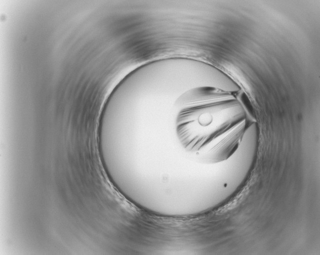 X0000088620948200706221452