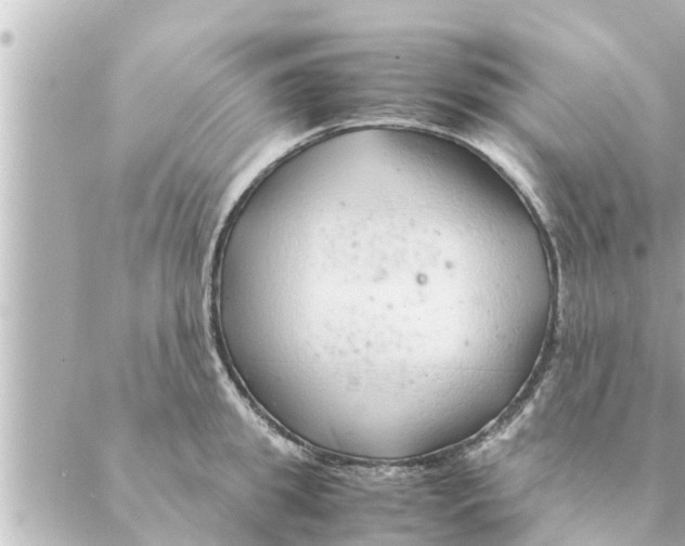 X0000088620949200706221452