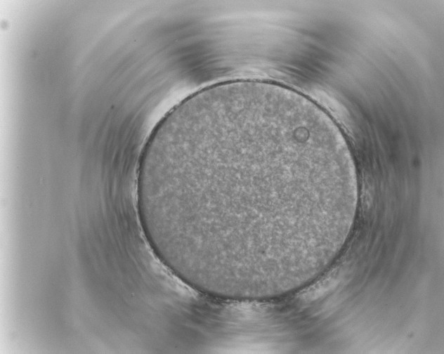 X0000088620950200706221452