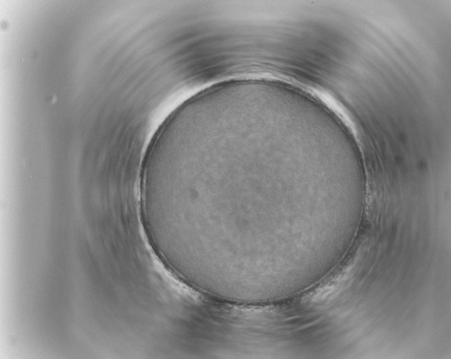 X0000088620951200706221452