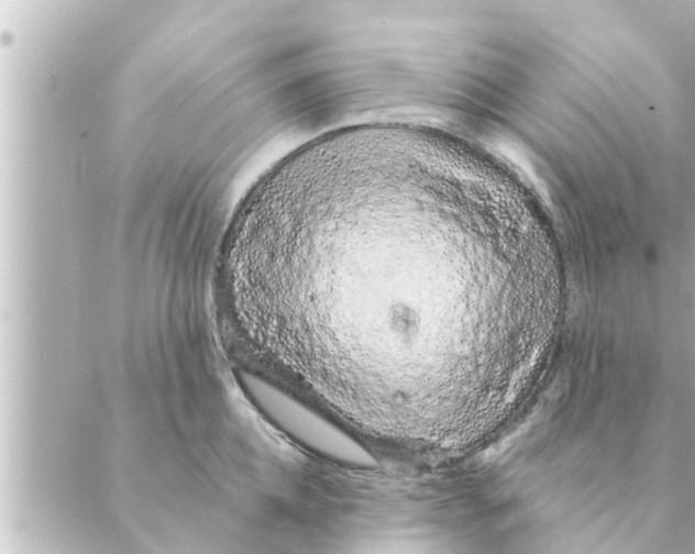 X0000088620952200706221452