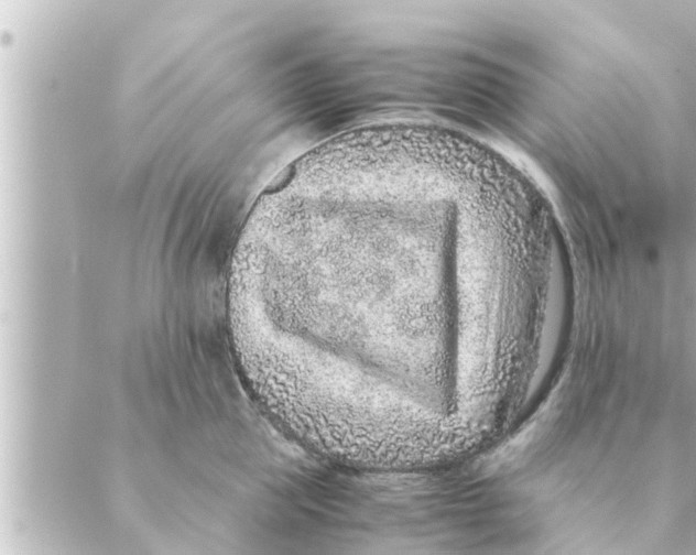 X0000088620953200706221452