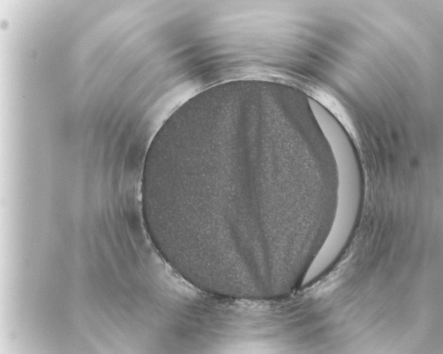 X0000088620954200706221452