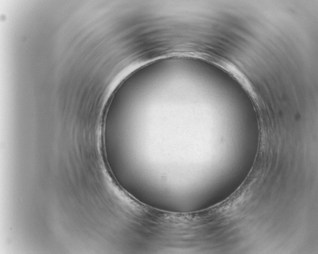 X0000088620955200706221452