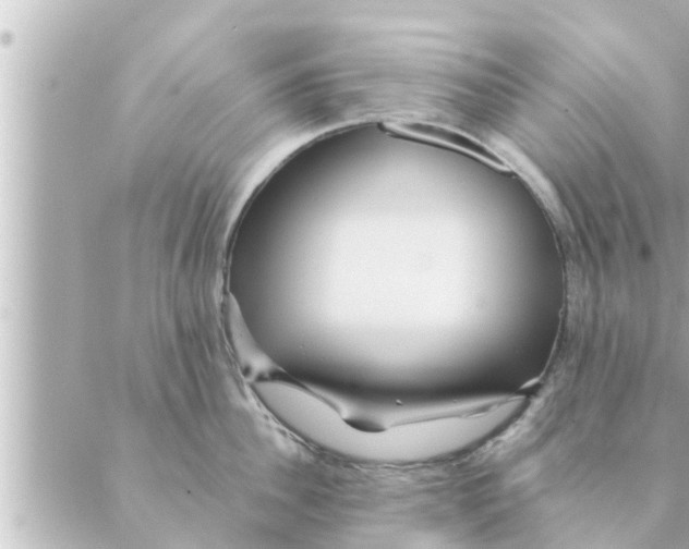 X0000088620956200706221452