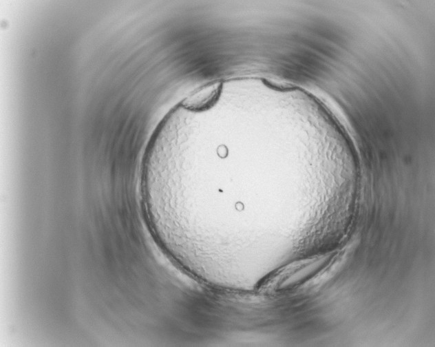 X0000088620957200706221452