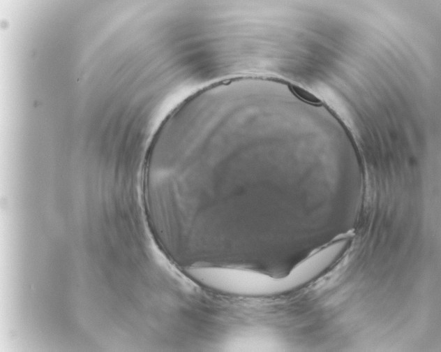 X0000088620958200706221452