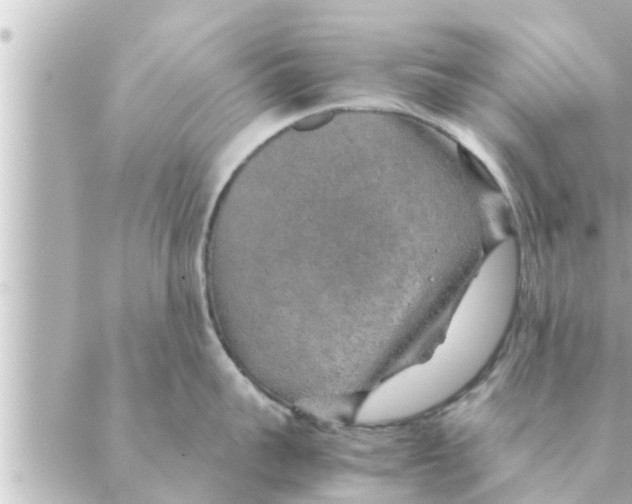 X0000088620959200706221452