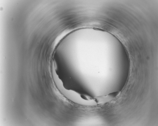 X0000088620960200706221452