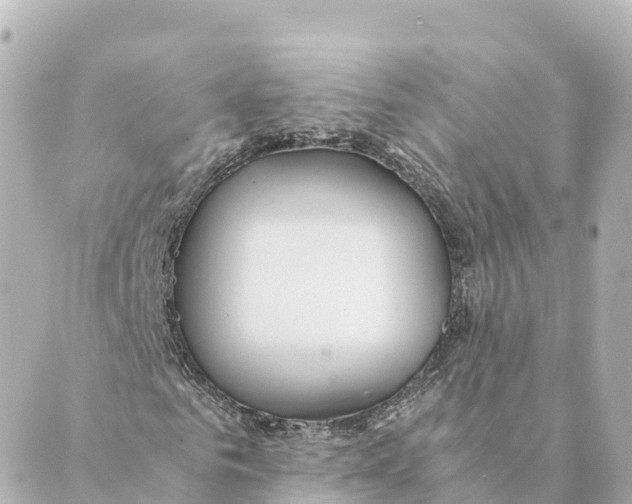 X0000088620961200706221451