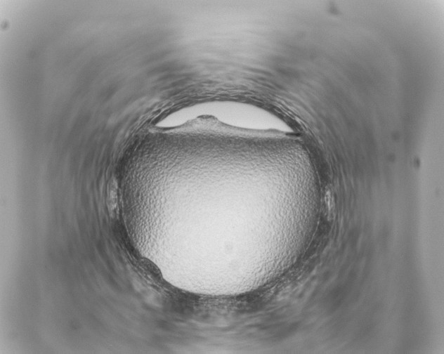 X0000088620963200706221451