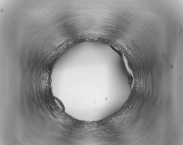 X0000088620964200706221451