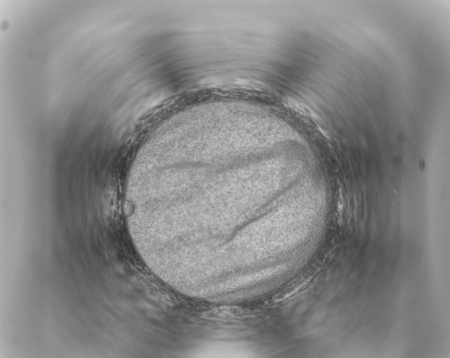 X0000088620966200706221451