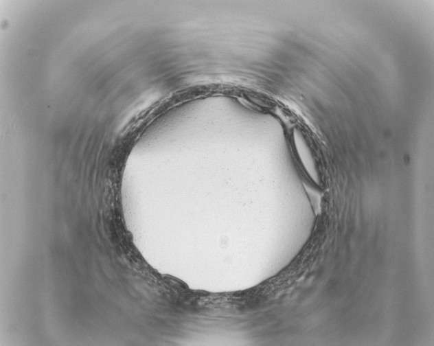 X0000088620967200706221451