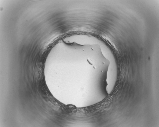 X0000088620968200706221451