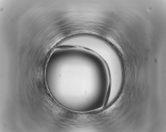 X0000088620969200706221451