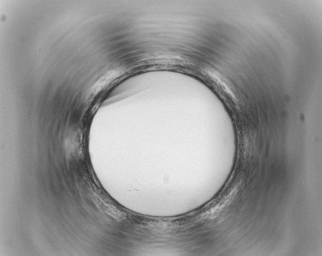 X0000088620970200706221451