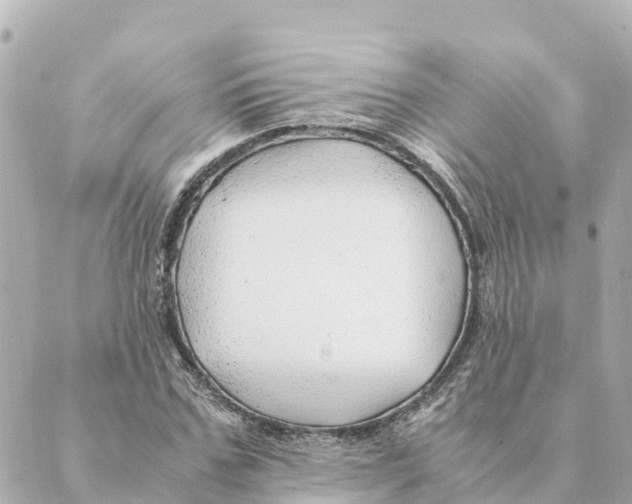 X0000088620971200706221451