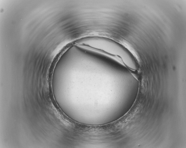 X0000088620972200706221451