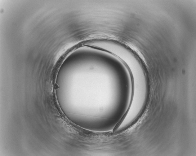 X0000088620973200706221451