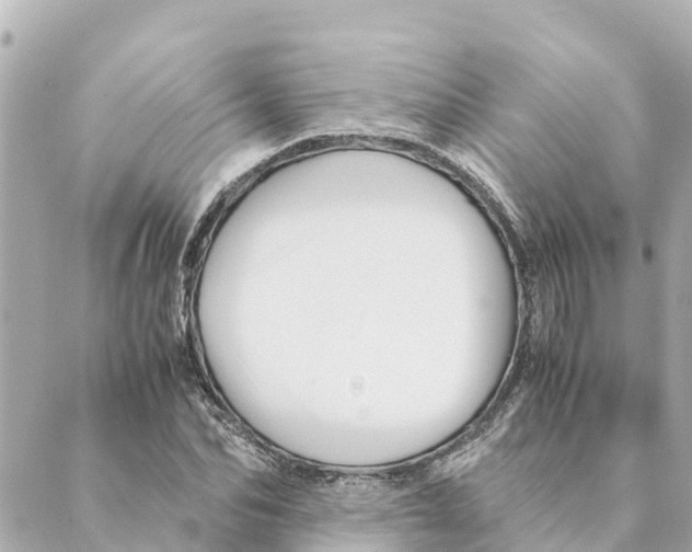 X0000088620974200706221451