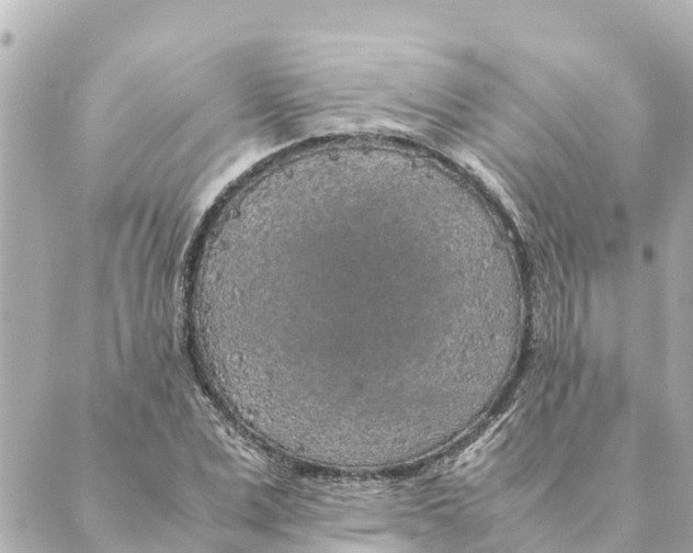 X0000088620975200706221451